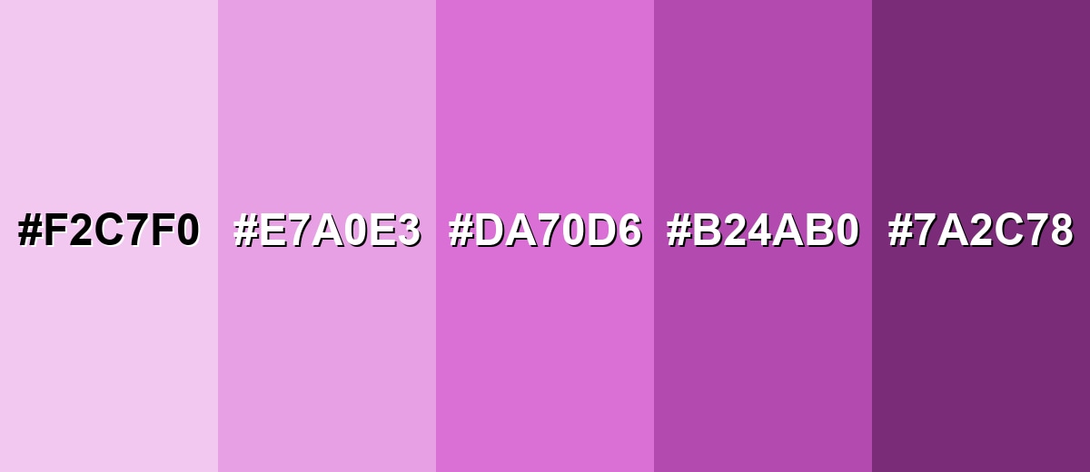 shades and variations of orchid-color