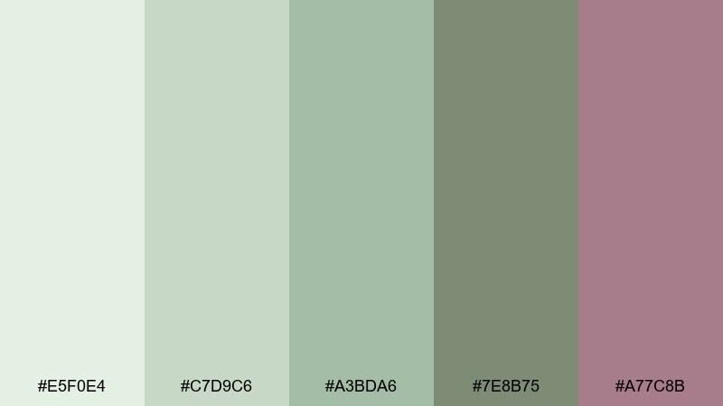 orchid leaf pale green color palette with hex codes