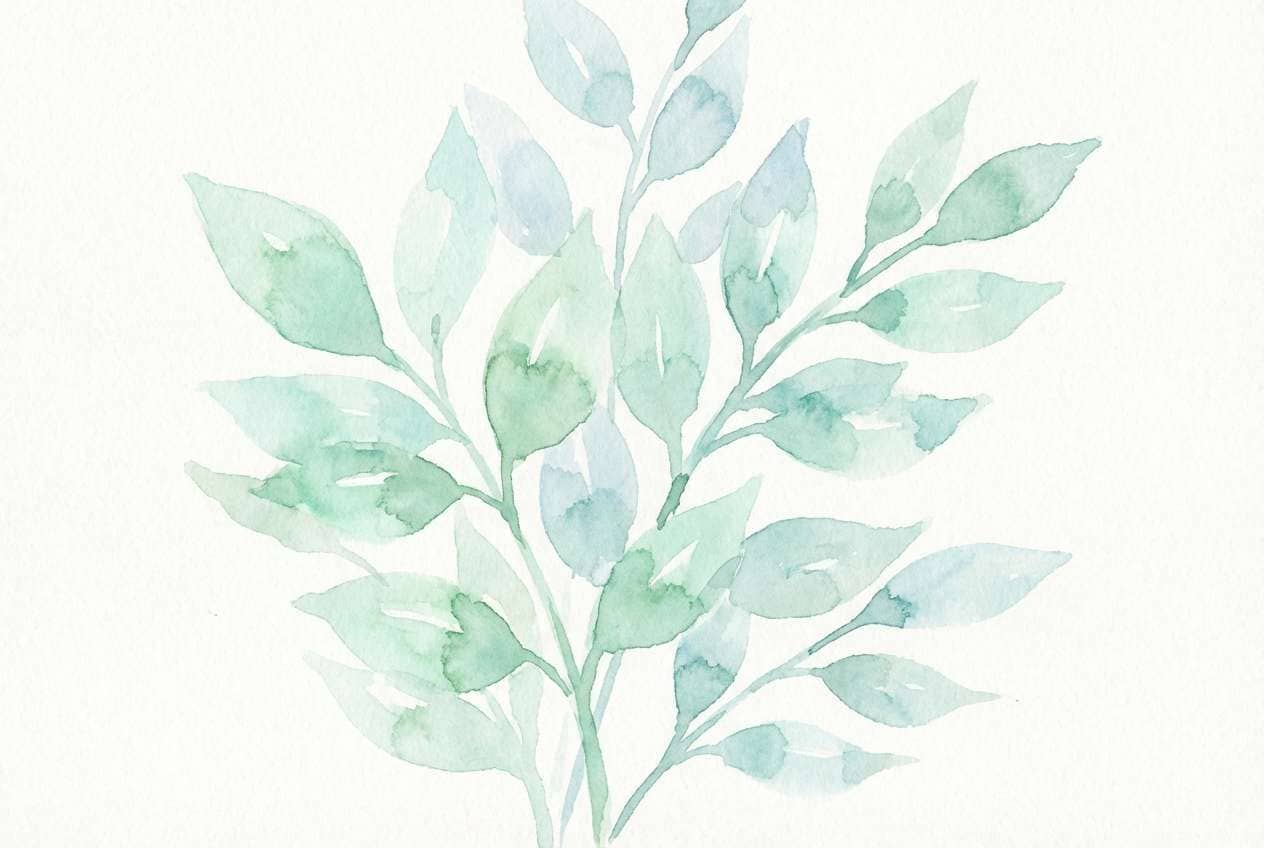 watercolor botanical illustration print