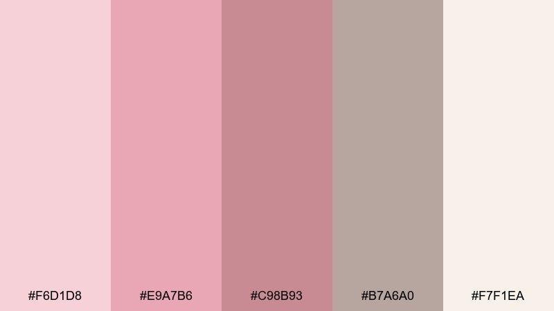 petal latte rose blush color palette with hex codes