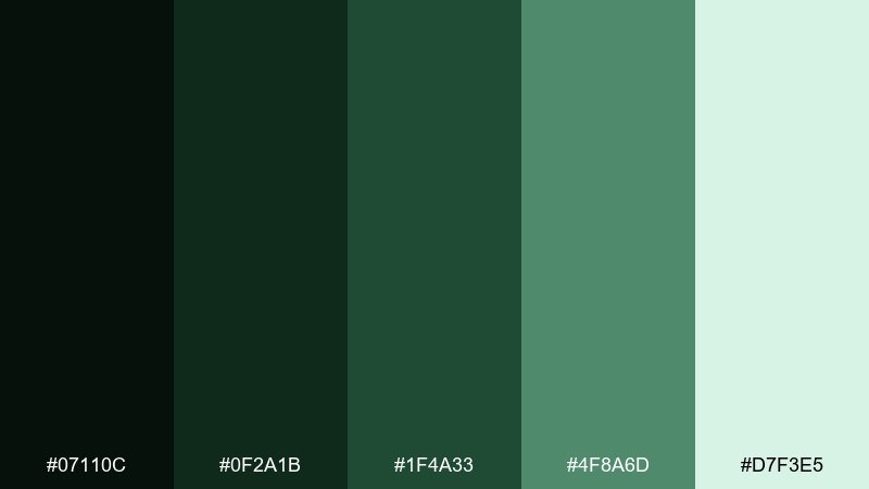 pine shadow night color palette with hex codes