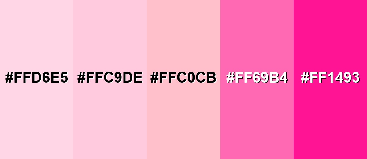 shades and variations of pink-color