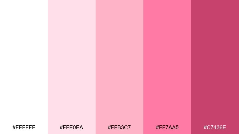 pink macaron studio color palette with hex codes