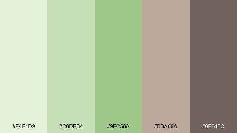 pistachio clay pale green color palette with hex codes