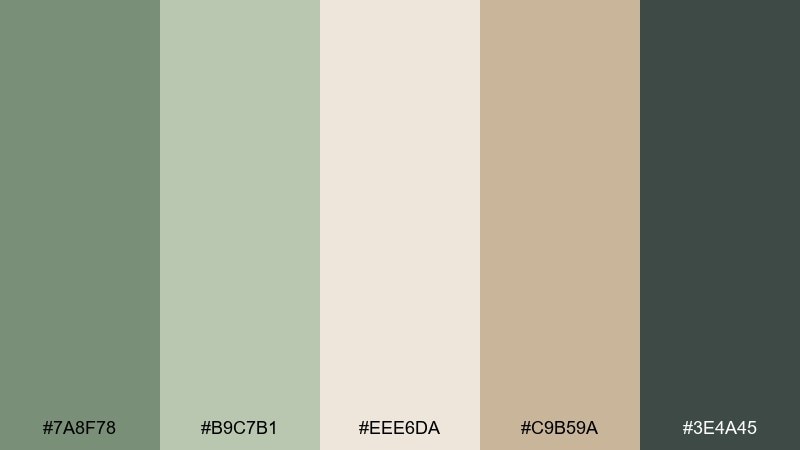 quiet sage meditation color palette with hex codes