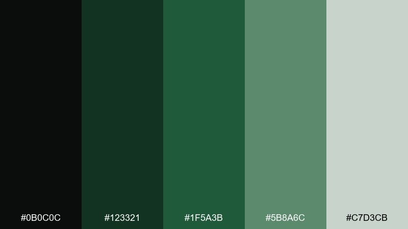 rainforest minimal color palette with hex codes