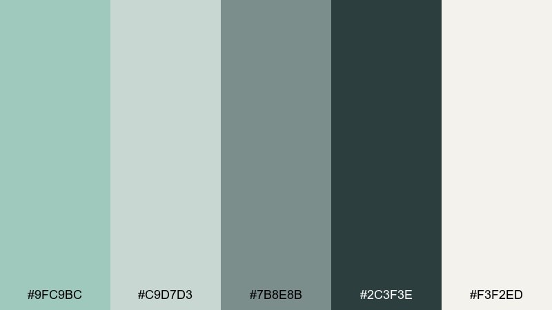 rainy atrium celadon color palette with hex codes