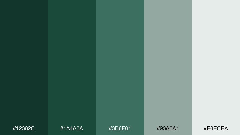 rainy pine color palette with hex codes