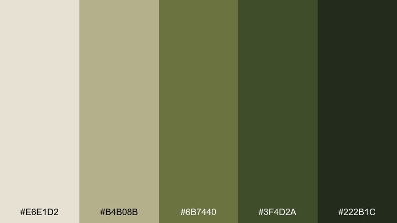 ranger uniform wildlife safari color palette with hex codes