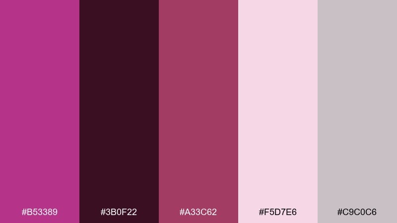 raspberry noir fandango color palette with hex codes