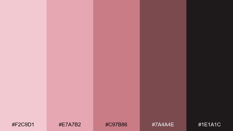 rosé velvet champagne pink color palette with hex codes