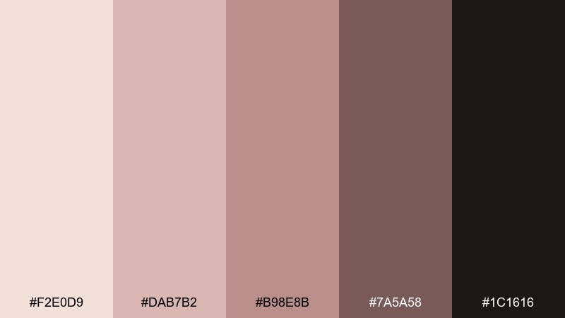 rose quartz night color palette with hex codes