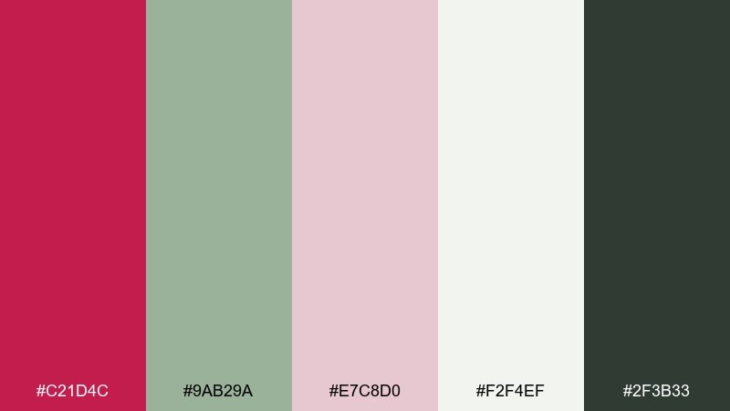 rose sage balance rose red color palette with hex codes