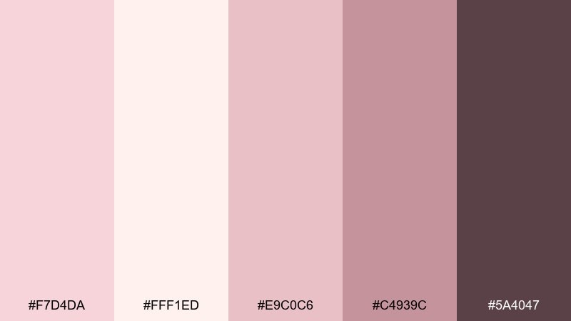rosewater studio champagne pink color palette with hex codes