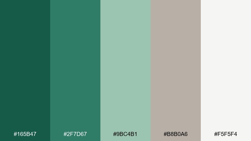 sage and stone emerald color palette with hex codes