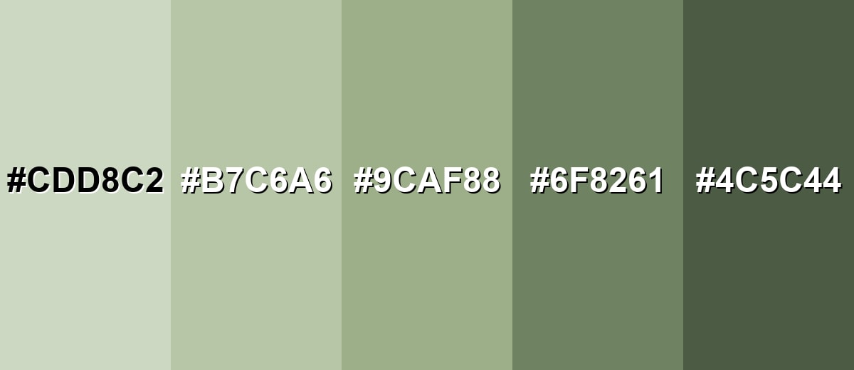 shades and variations of sage-color