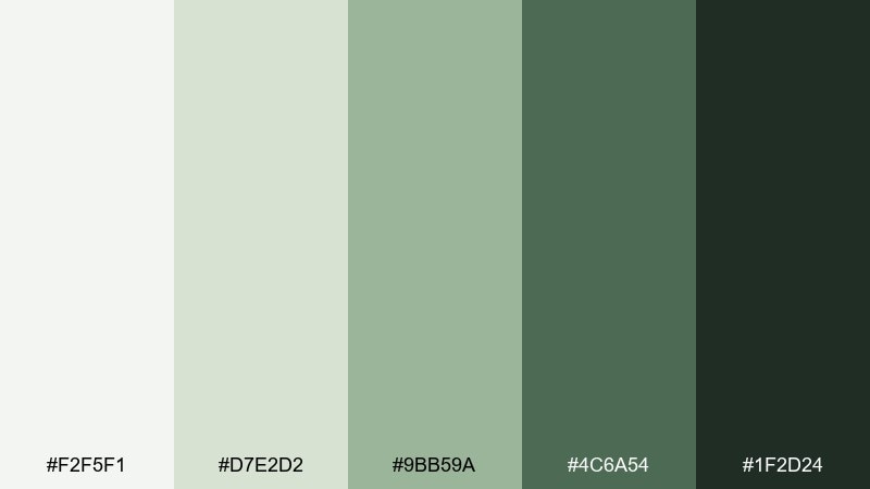 sage ledger office color palette with hex codes