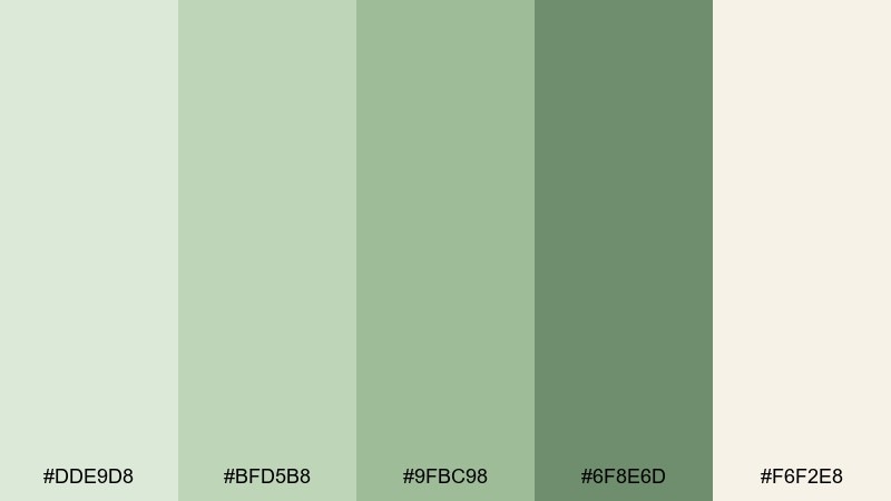 sage mist pale green color palette with hex codes