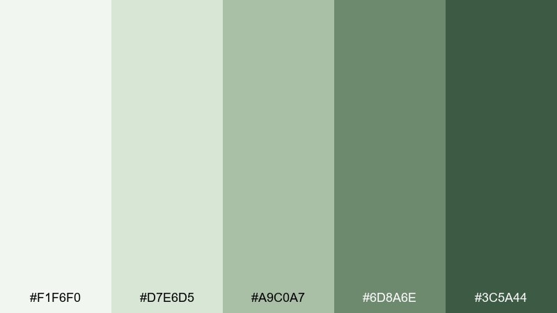 sage steam spa color palette with hex codes