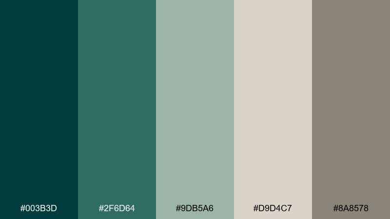 sage stone minimal midnight green color palette with hex codes