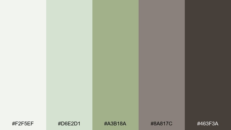 sage stone watercolor color palette with hex codes