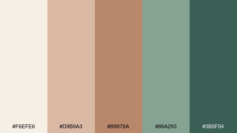 sage terracotta succulent color palette with hex codes