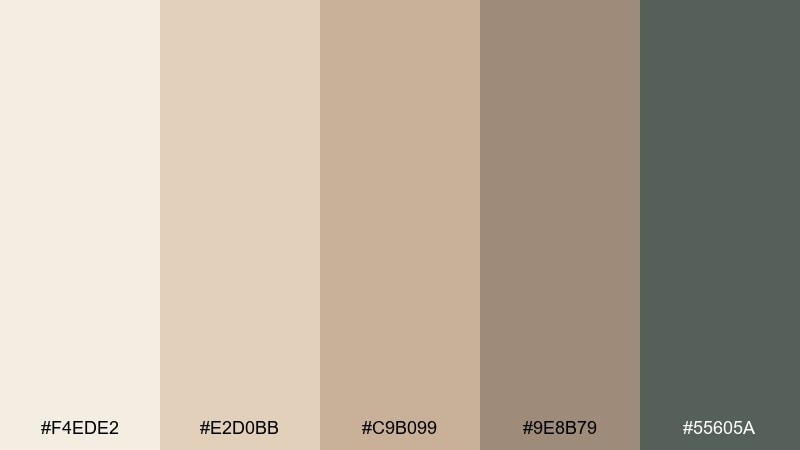 sandstone studio cream beige color palette with hex codes