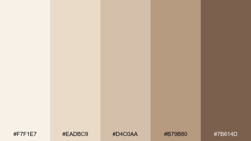 sandstone studio pale brown color palette with hex codes
