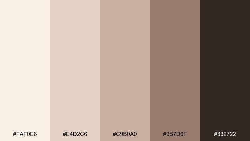 seashell taupe color palette with hex codes