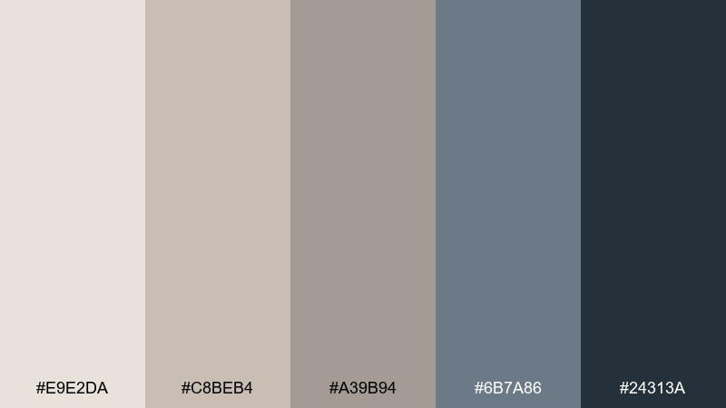 seaside taupe color palette with hex codes