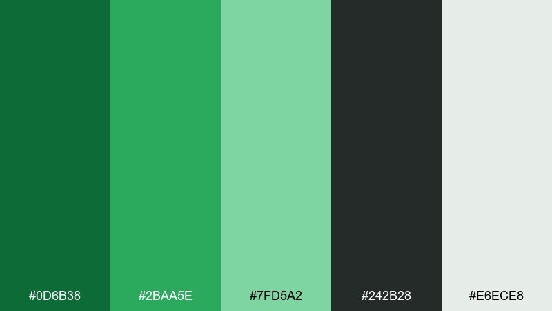shamrock and charcoal shamrock color palette with hex codes