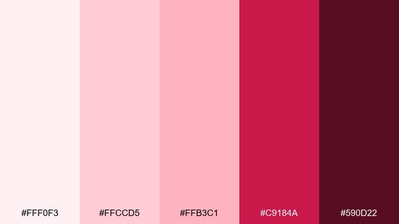 shell pink minimal color palette with hex codes