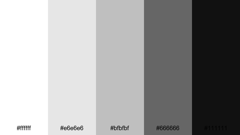 silver charcoal mono color palette with hex codes