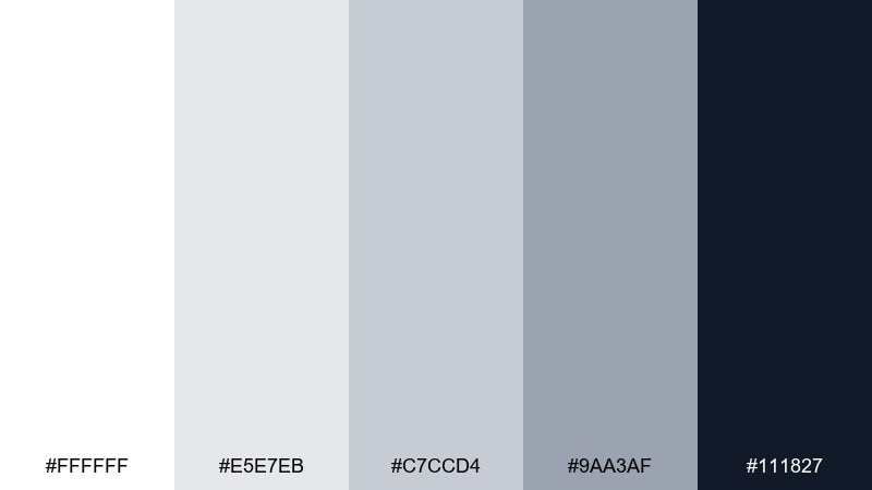 silver screen gray color palette with hex codes