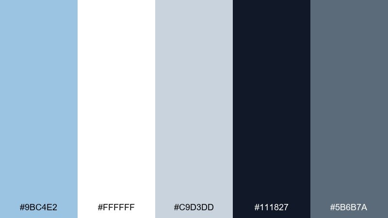 skybound minimal columbia blue color palette with hex codes