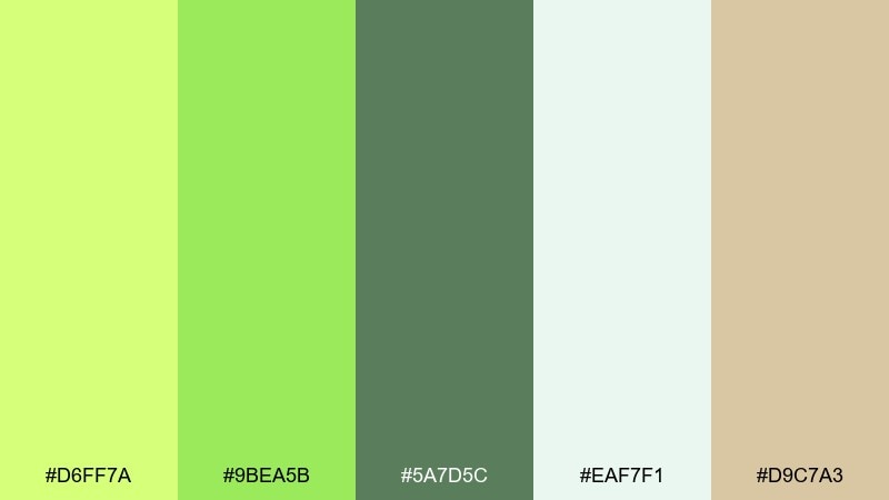 spa citrus calm lime color palette with hex codes