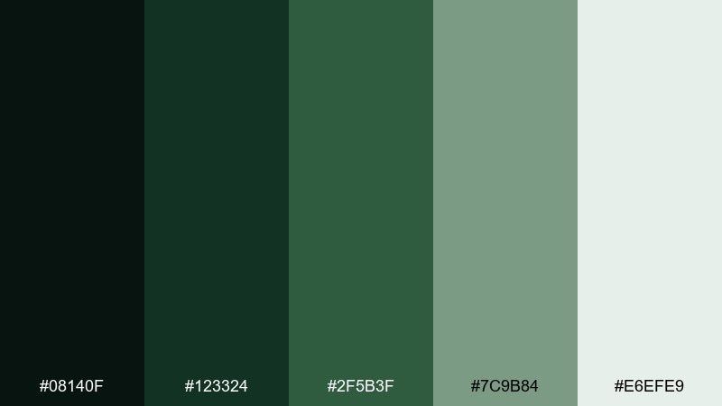spellbook evergreen fantasy forest color palette with hex codes
