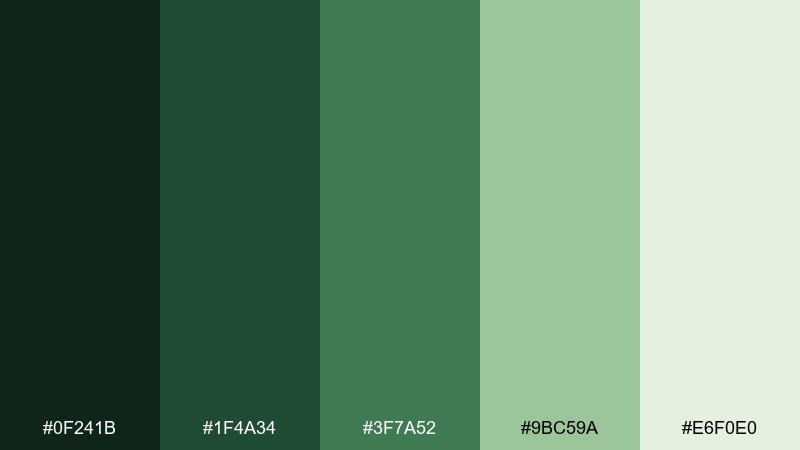 spruce tip forest color palette with hex codes