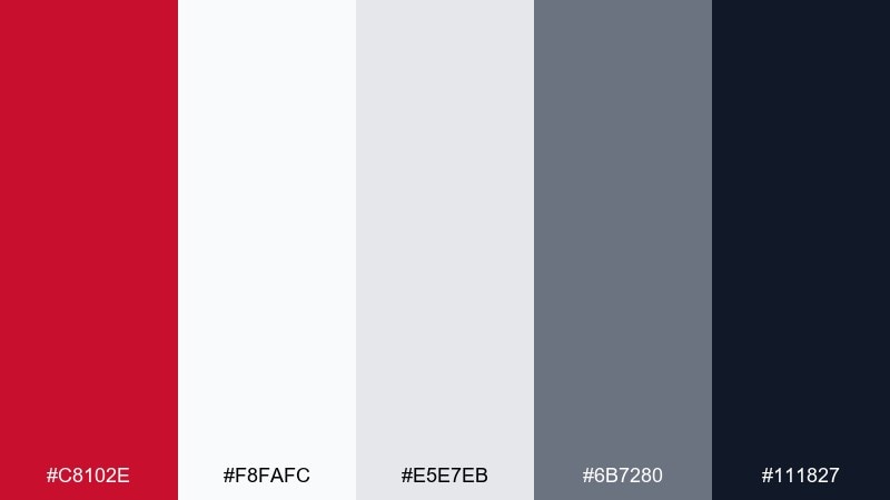 steel and snow color palette with hex codes