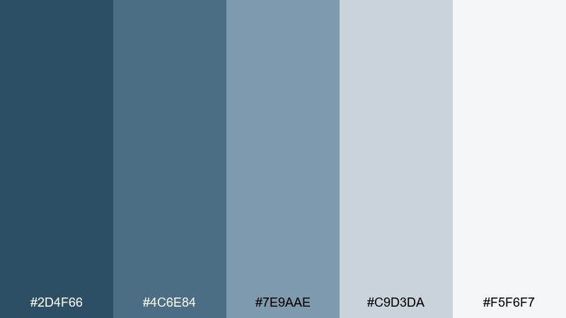 steel blue minimal denim color palette with hex codes