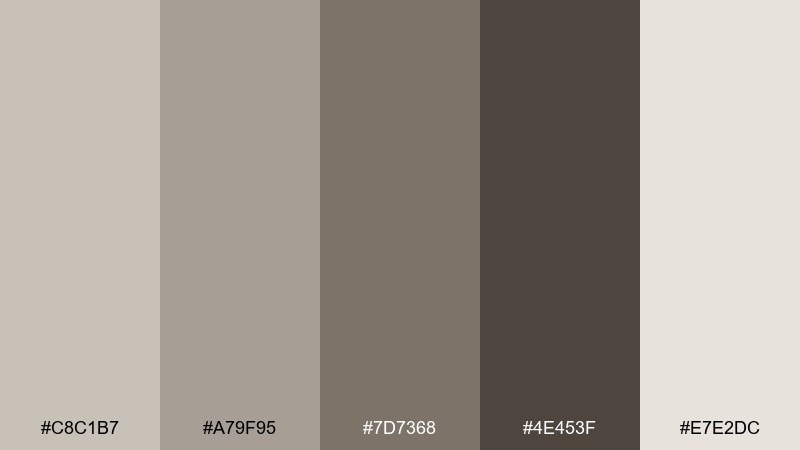 stone mushroom modern color palette with hex codes