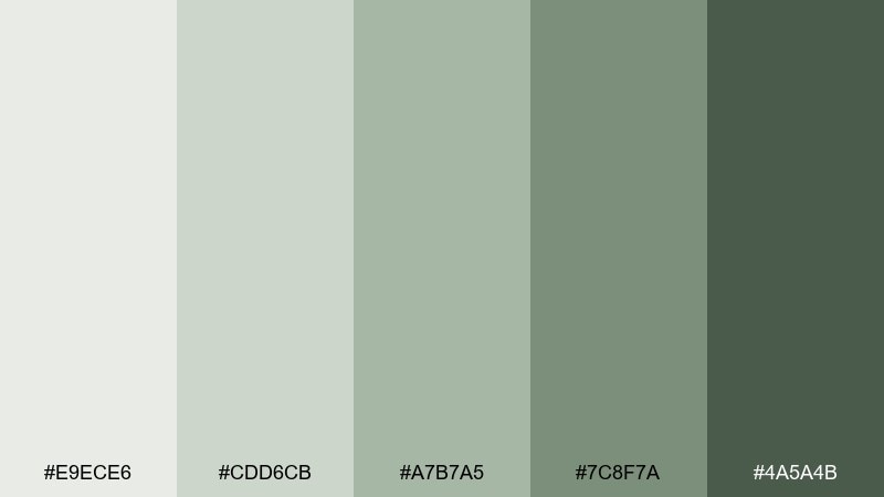 stonewash green tea green color palette with hex codes