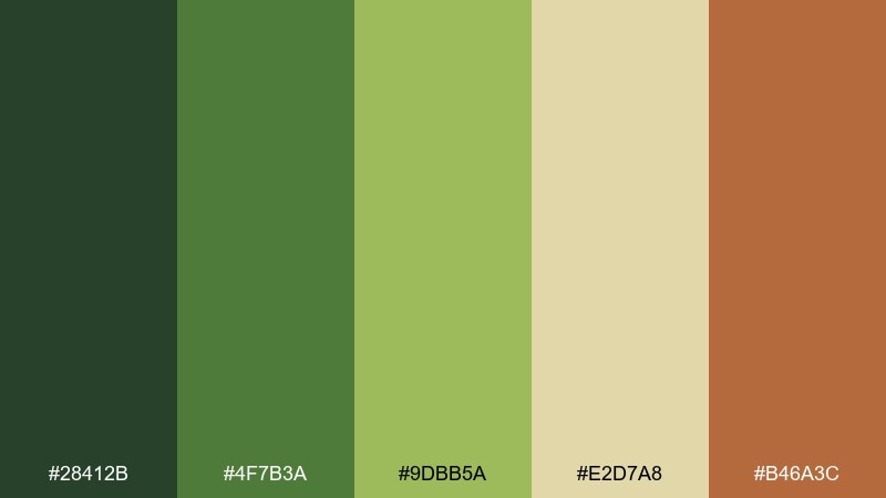 sunlit thicket forest color palette with hex codes
