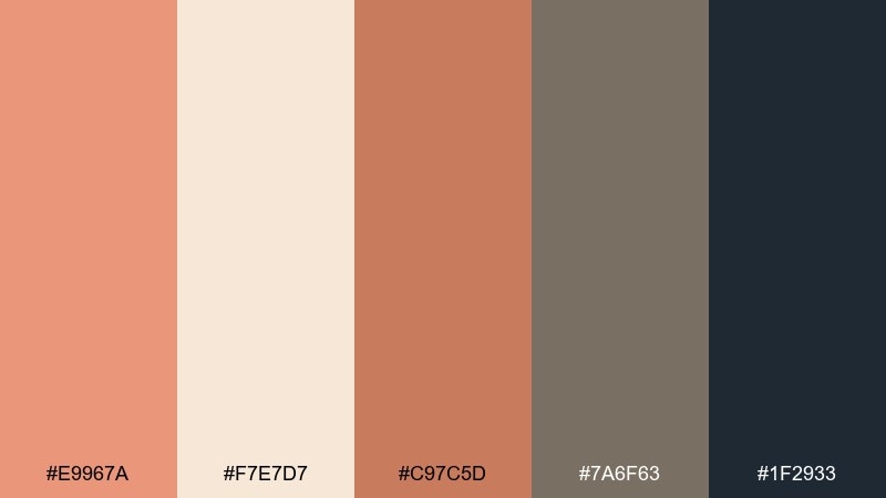 sunset clay dark salmon color palette with hex codes