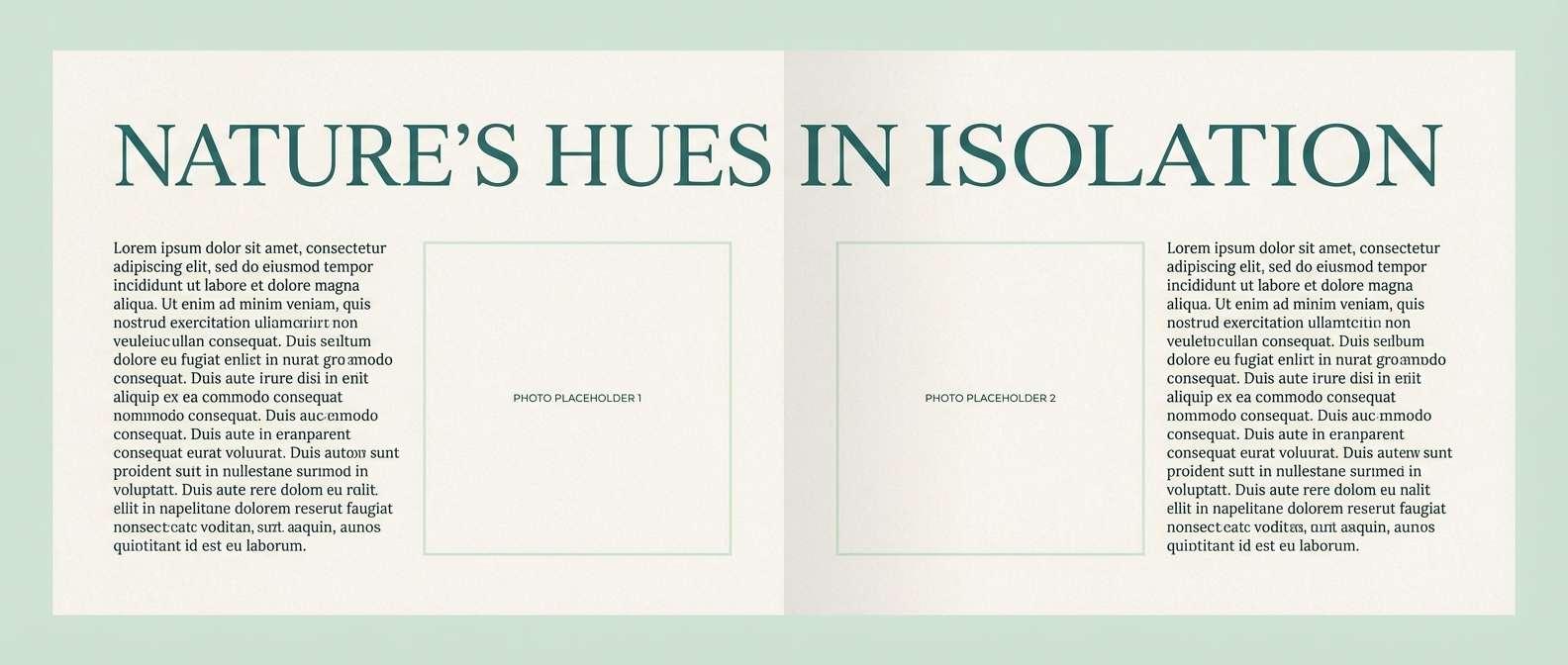 sage teal magazine spread