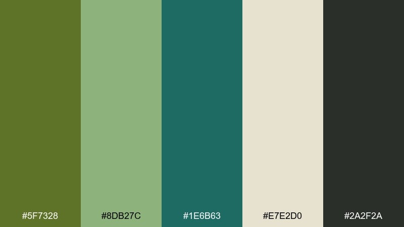 teal olive studio olive green color combination with hex codes
