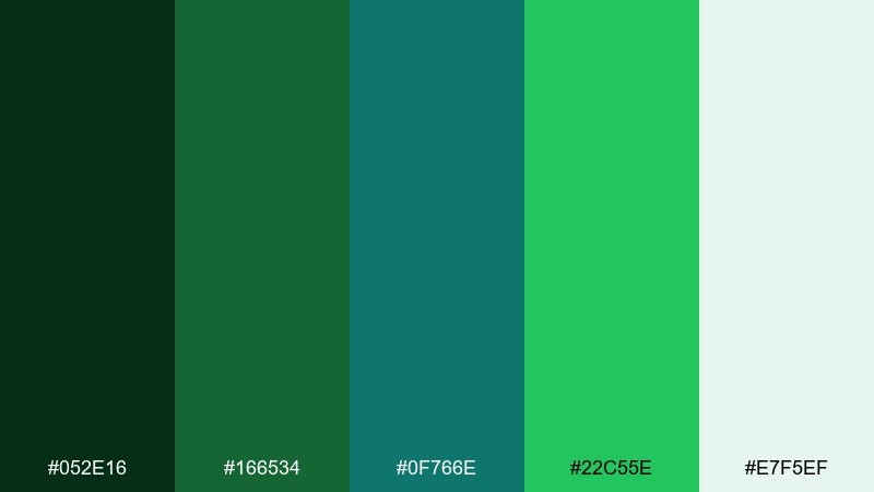 teal spruce color palette with hex codes