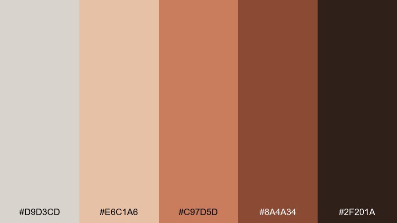 terracotta dust timberwolf color palette with hex codes