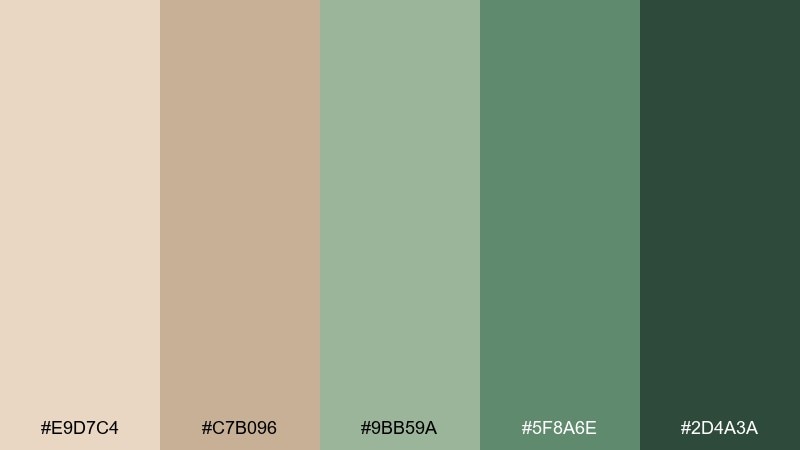 terracotta leaflight color palette with hex codes