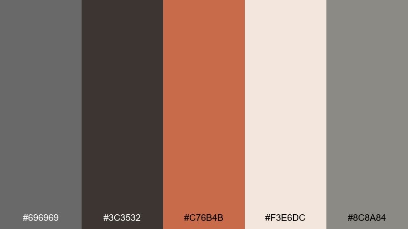 terracotta loft dim gray color palette with hex codes